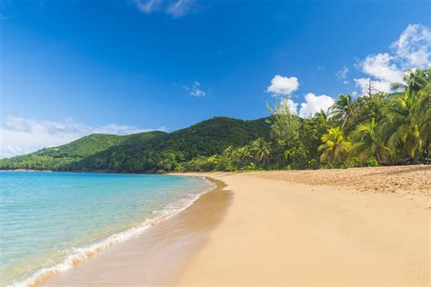 Visiter Deshaies, Guadeloupe - A faire, à voir à Deshaies - Les Covoyageurs