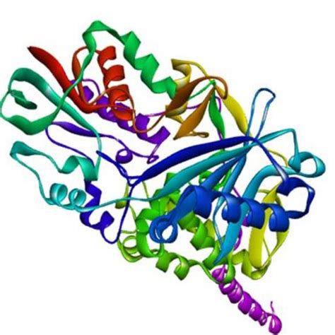 3D-Structure of Monoamine oxidase A (PDB) -2Z5X | Download Scientific Diagram