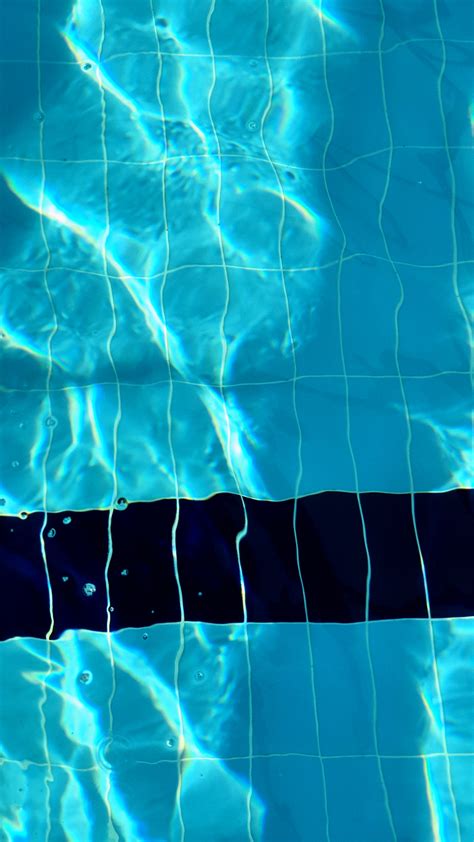 Top View of Swimming Pool · Free Stock Photo