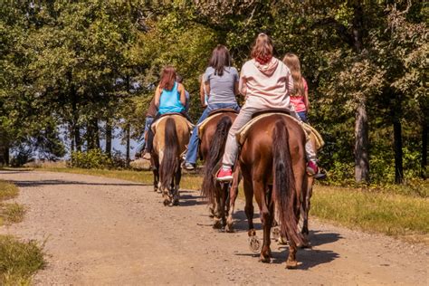 10 Best Places For Horseback Riding In Maryland - Southern Trippers