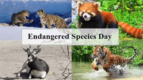 When is Endangered Species Day 2023 observed?