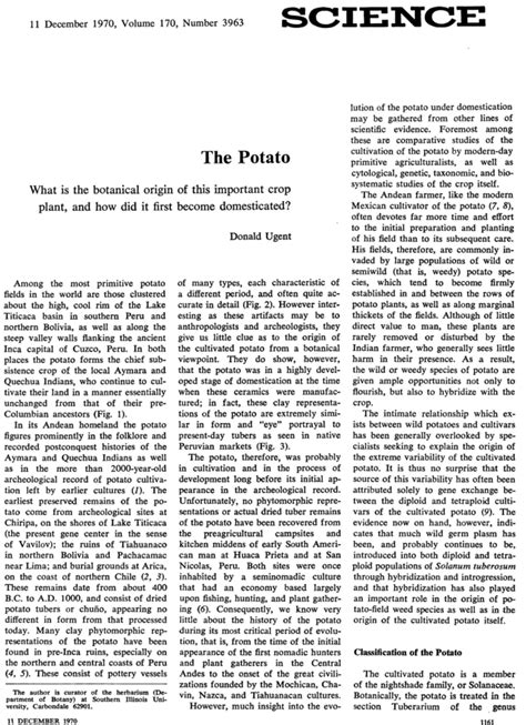 The Potato | Science