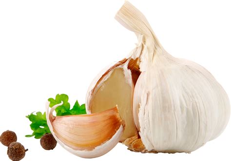 Garlic PNG Image - PurePNG | Free transparent CC0 PNG Image Library