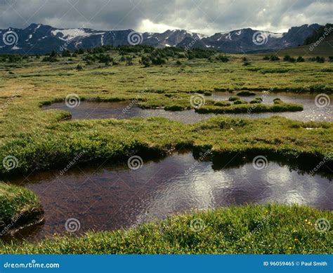 Highline Trail Tundra in the Mount Massive Wilderness, San Isabel ...