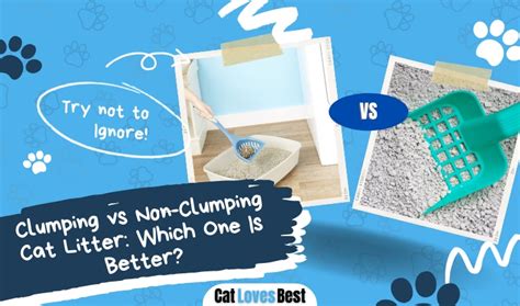 Clumping vs Non-Clumping Cat Litter: Which One Is Better?