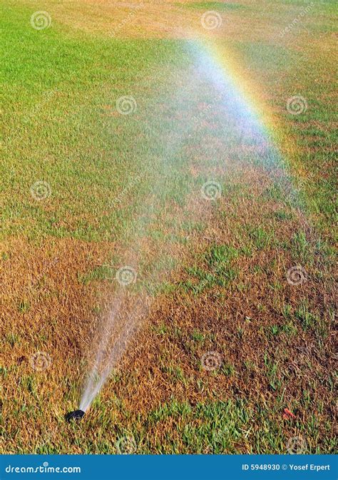 Rainbow On Lawn Stock Photo - Image: 5948930