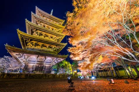 2020 Japan Fall Colors Forecast & Autumn Foliage Viewing Guide - Travel ...