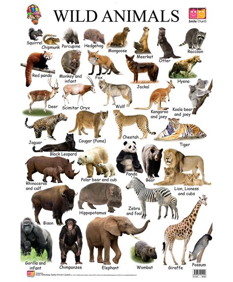 Wild Animals Clipart With Names