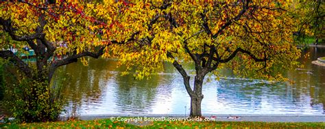 Boston Fall Foliage 2022 - 10 Best Places to See It - Boston Discovery Guide