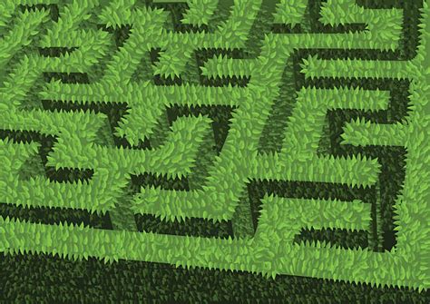 80+ Hedge Maze Stock Illustrations, Royalty-Free Vector Graphics & Clip Art - iStock