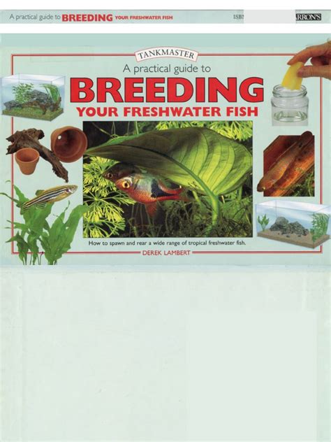 A Practical Guide to Breeding Your Freshwater Fish