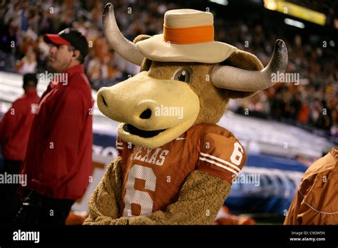 Texas longhorn mascot hi-res stock photography and images - Alamy