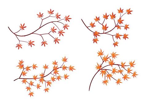 Set of Japanese Maple Leaves with Isolated on White Background 159094 Vector Art at Vecteezy