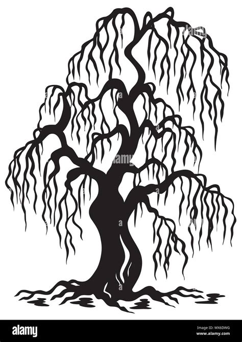 Willow tree silhouette Stock Vector Image & Art - Alamy