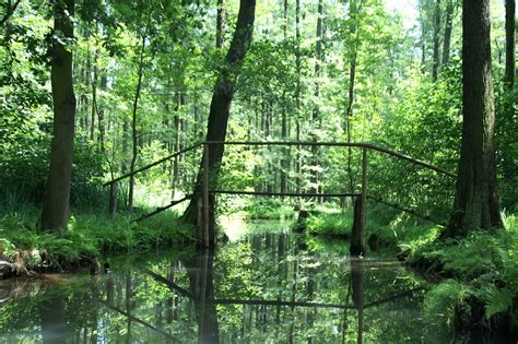 Spreewald Map - Brandenburg, Germany - Mapcarta