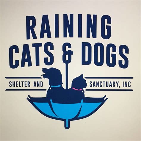 RAINING CATS AND DOGS SHELTER AND SANCTUARY volunteer opportunities ...