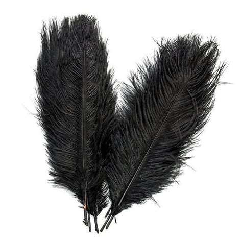 10 Pcs Ostrich Feathers | Ostrich feathers, Ostrich, Feather