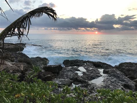 Paradise Cove - Oahu, Hawaii | Paradise cove, Tropical destinations, Oahu