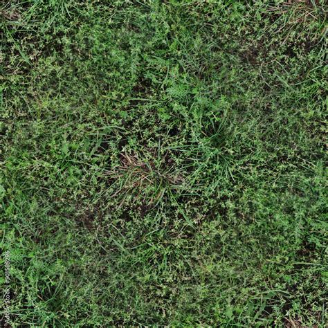 green grass texture, seamless forest textures. Stock Photo | Adobe Stock