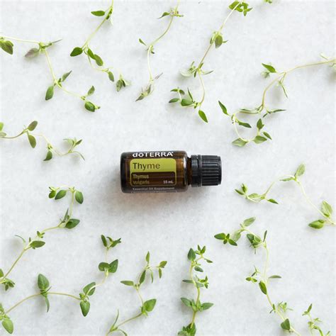 Thyme Oil Uses and Benefits | doTERRA Essential Oils