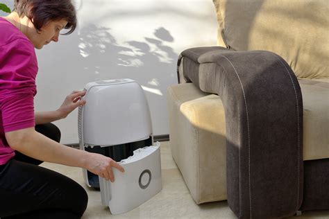 Will A Dehumidifier Kill Mold?