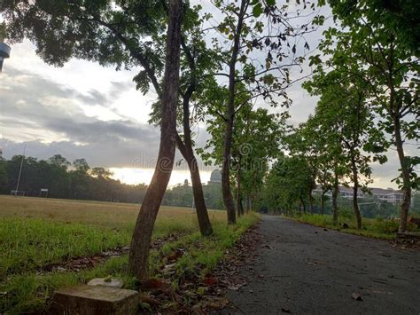 A Very Good Road and with Cool Trees at Al-Zaytun Indramayu Indonesia Campus Stock Image - Image ...