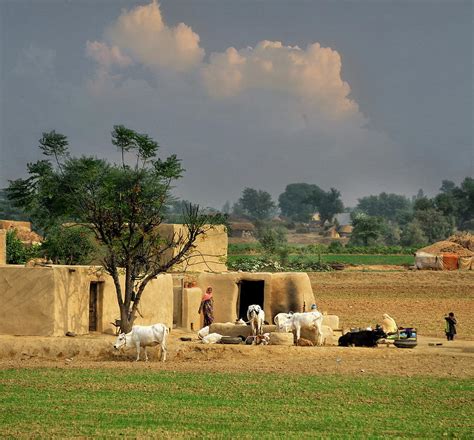 The Village Of Punjab by Nadeem Khawar