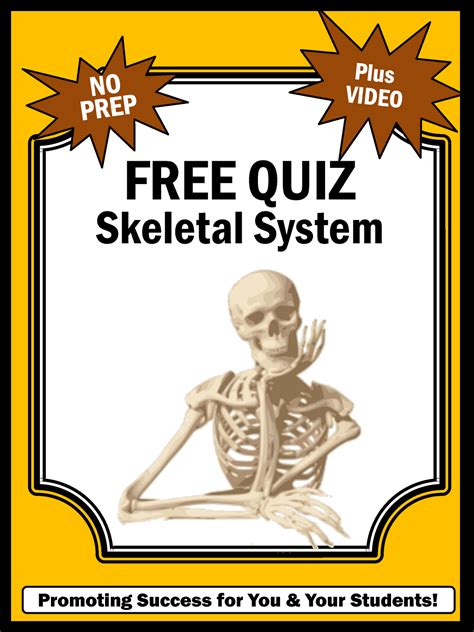 Skeletal Quiz - with answer key - FREE QUIZ Skeletal System Promoting Success for You & Your ...