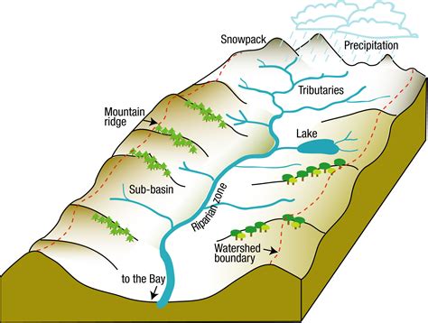 Watershed Diagram River Talk