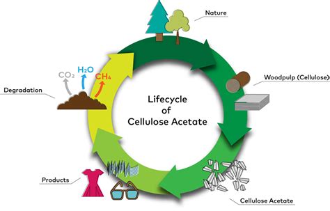 Cellulose Acetate — Cerdia