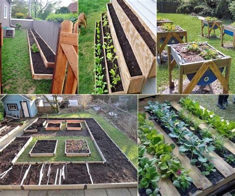 12 Ideas to Make a Small Vegetable Garden