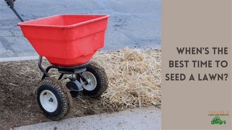 Sand Spurs: Removing a scourge from your lawn - Tayloe's Lawn Care ...