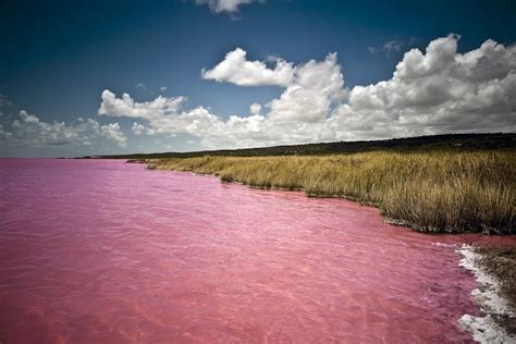 Lake Retba aka "The Pink Lake", Senegal photo on Sunsurfer