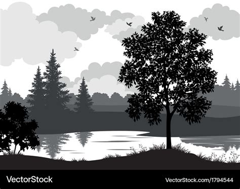 Landscape trees river and birds silhouette Vector Image