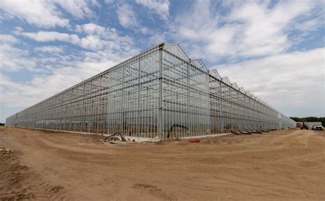 Greenhouse Construction Company | Prospiant