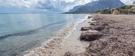 palermo-beaches » Check Out Sam | Travel guide, blog and info.