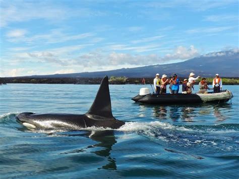 Galapagos wildlife cruise | Responsible Travel