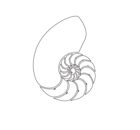 Free clip art "Nautilus Shell" by i2dllc