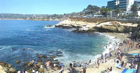 5 BEST Things to Do at La Jolla Cove - swim, snorkel & location