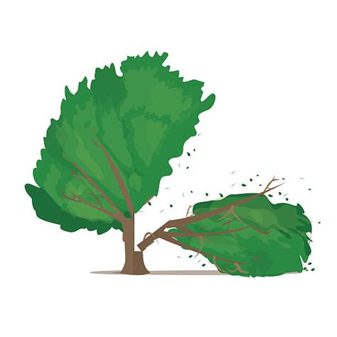 Broken Tree Illustrations, Royalty-Free Vector Graphics & Clip Art - iStock