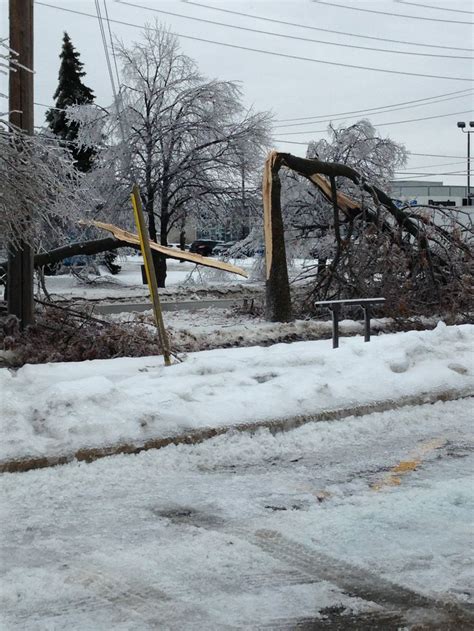 Ontario's ice storm. Beauty and destruction. | Ice storm, Outdoor, Storm