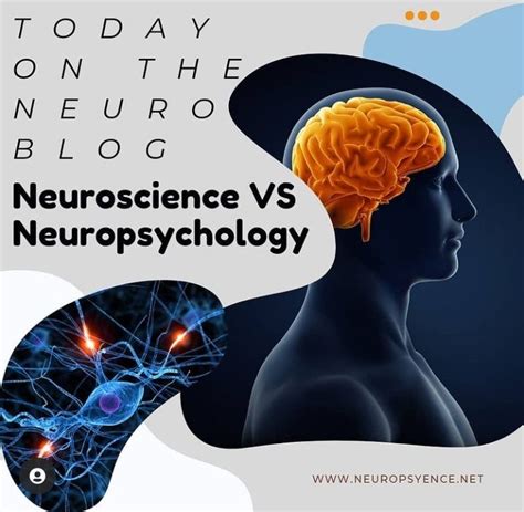 Neuroscience vs Neuropsychology.. How different can neuroscience and ...