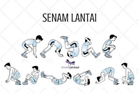 Materi Tentang Senam Lantai