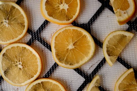 How to Dehydrate Oranges - FoodDehydratorRecipes.com