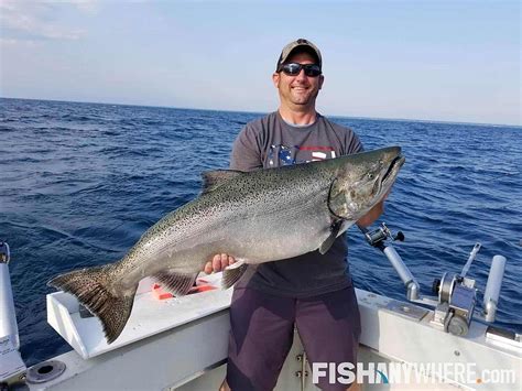 Lake Michigan King Salmon Fishing: What You Need to Know | FishAnywhere