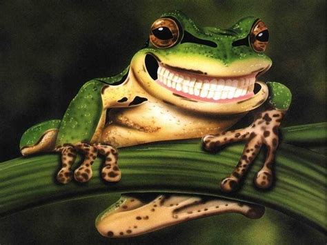 Background Cute Frog Wallpaper Discover more Carnivorous, Cute, Cute Frog, Diverse, Short Bodied ...