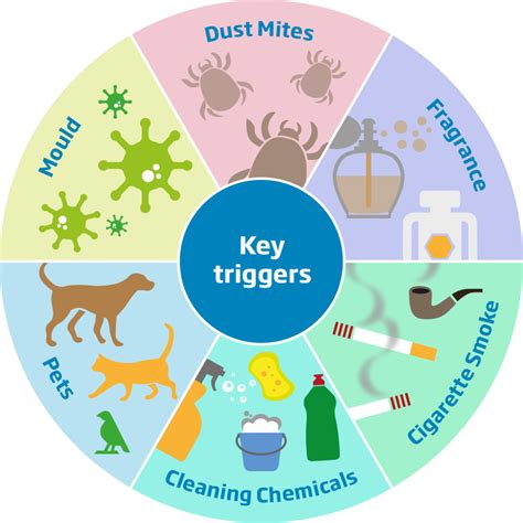 Asthma Triggers :: West Yorkshire Healthier Together