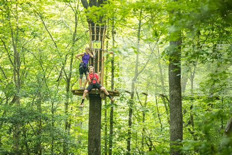 Go Ape Treetop Adventure Images — Go Ape Media