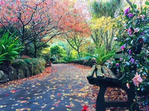 Eden Garden in Auckland