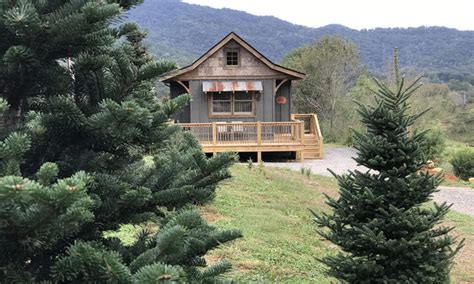 Waynesville North Carolina – Christmas Tree Cabins